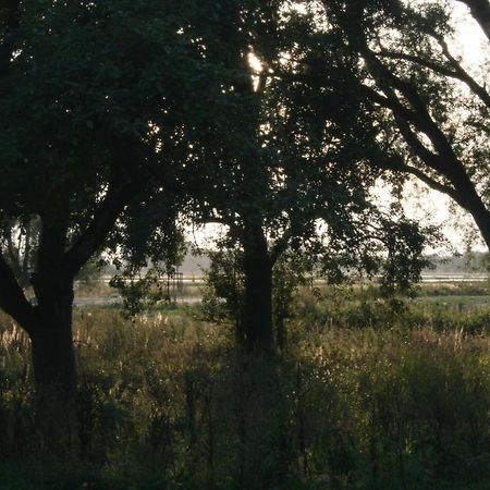 Landhaus An Der Wiek Poseritz ภายนอก รูปภาพ