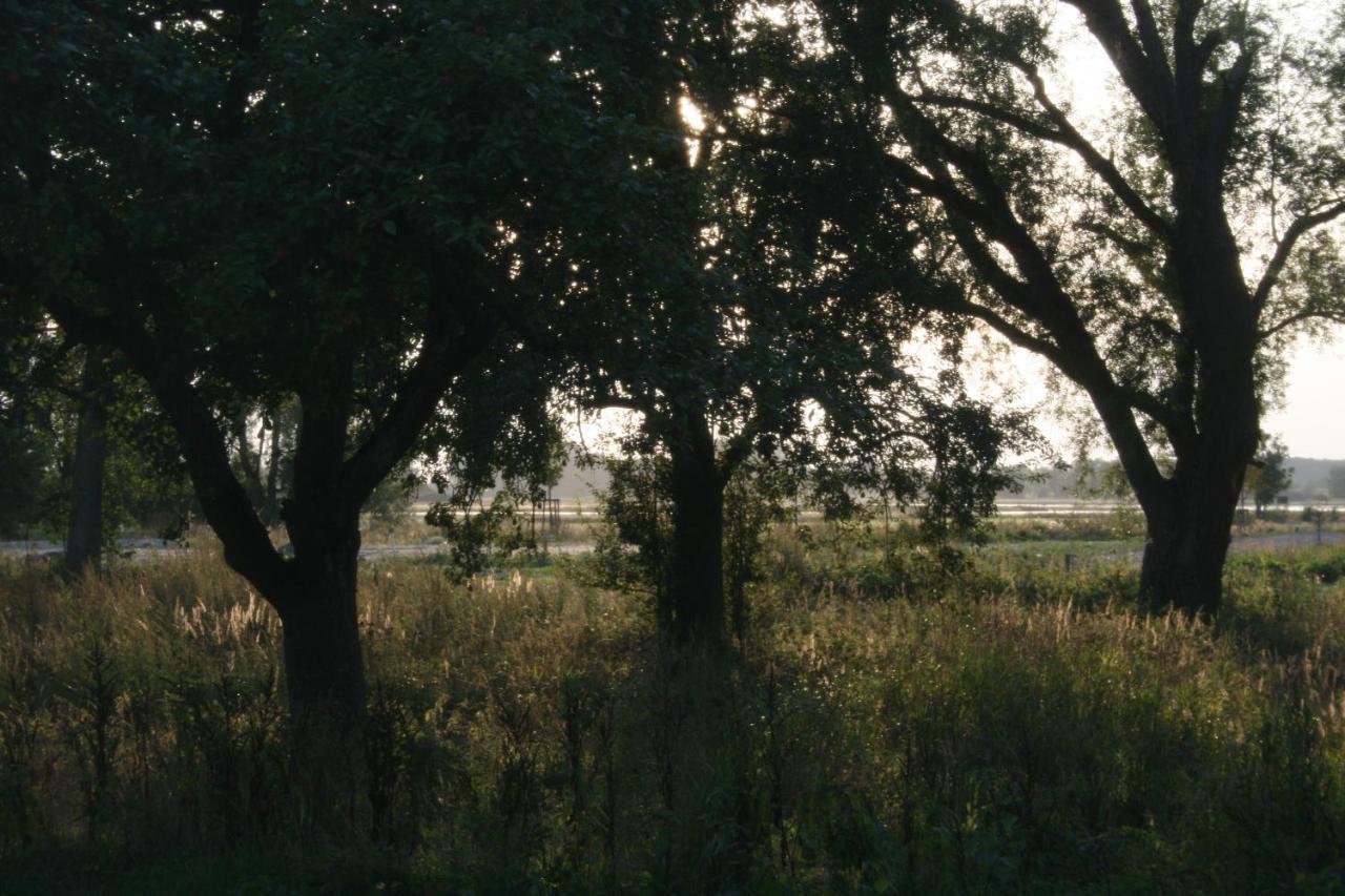 Landhaus An Der Wiek Poseritz ภายนอก รูปภาพ